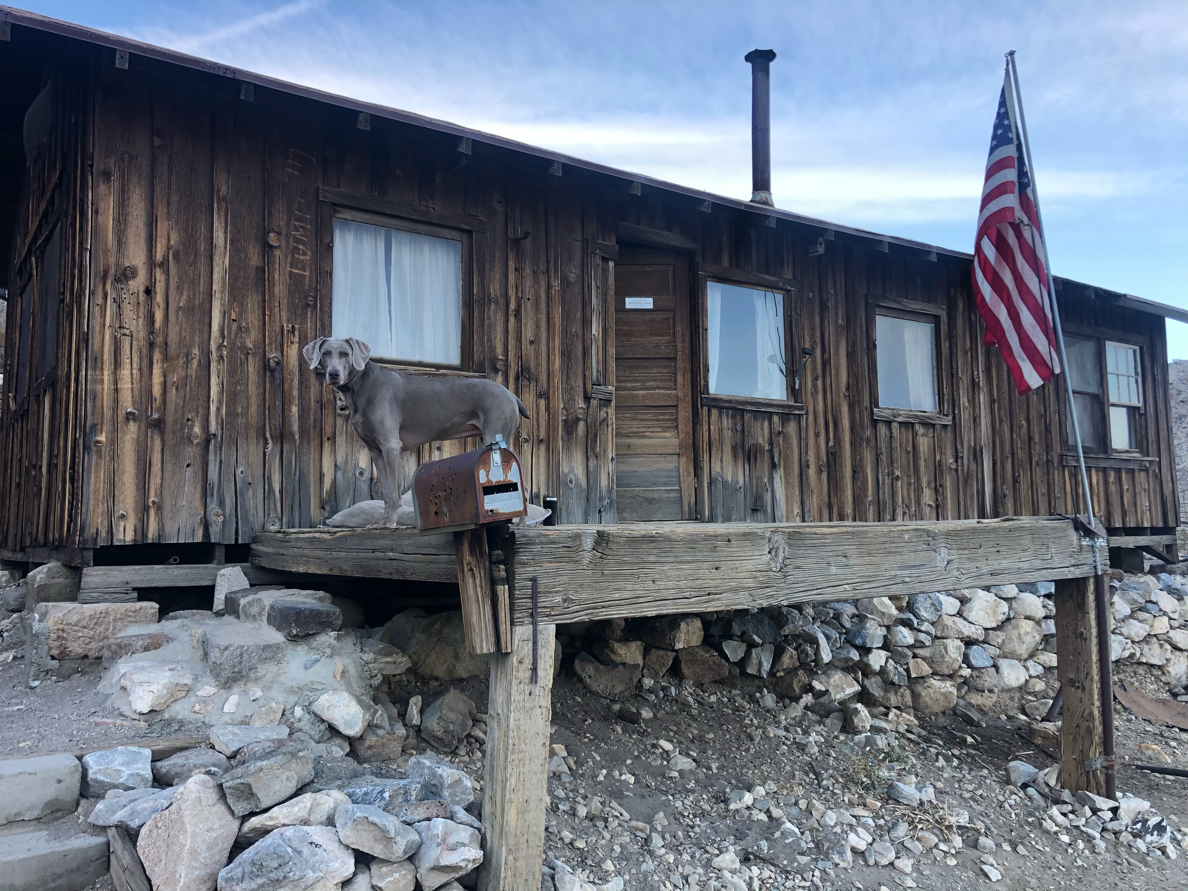 A dog standing on a wooden porch in front of a wooden cabin.