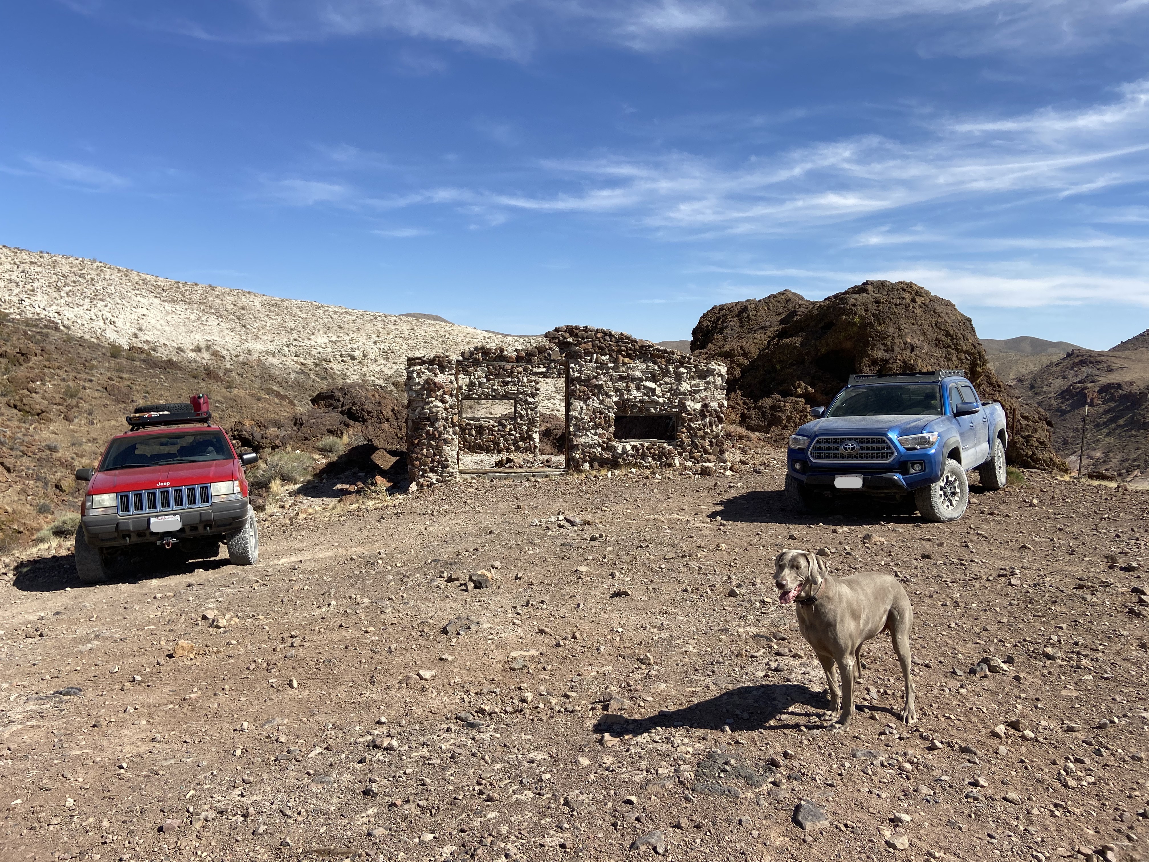 A red ZJ, ruins of a stone build, a blue Tacoma, and a dog standing in front.