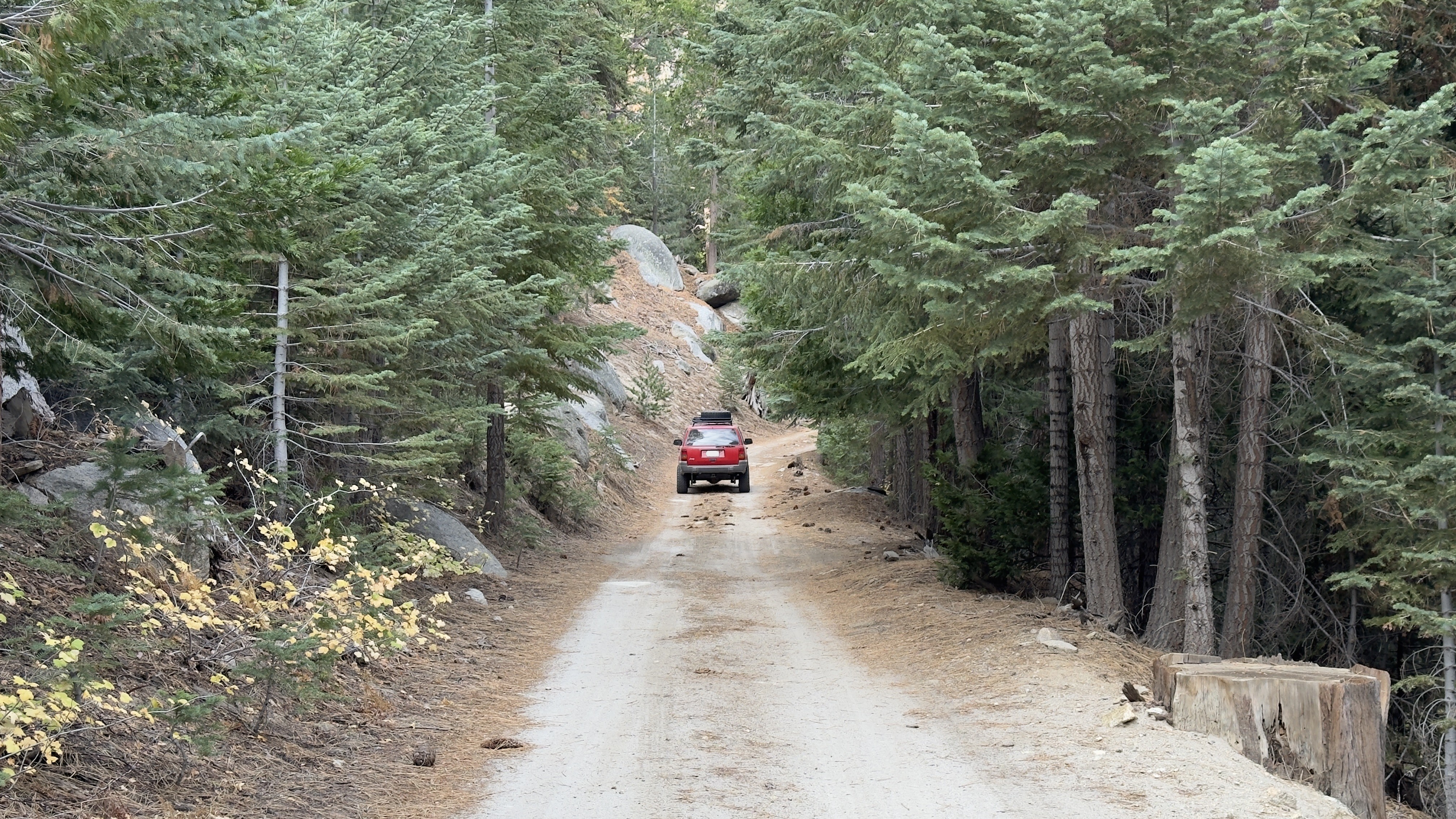 Dirt road with a red Jeep ZJ in the middle and trees on both sides.