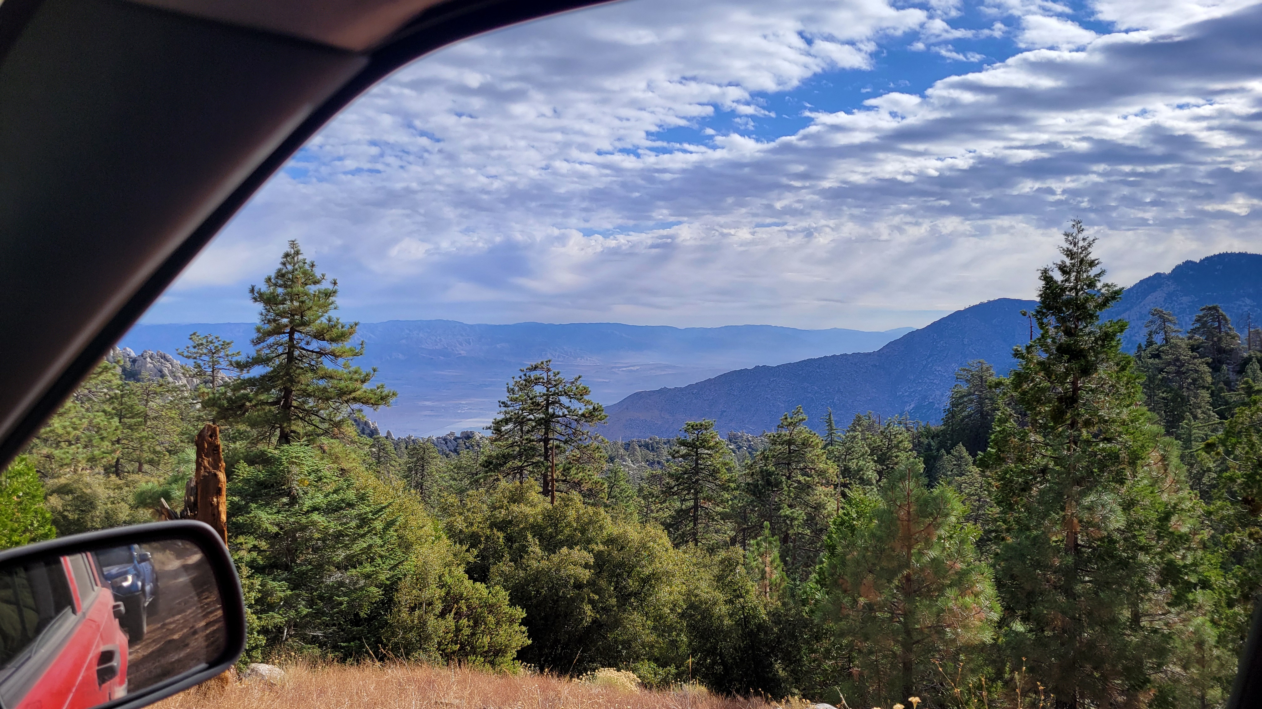 Looking out a car window at forest tree tops.