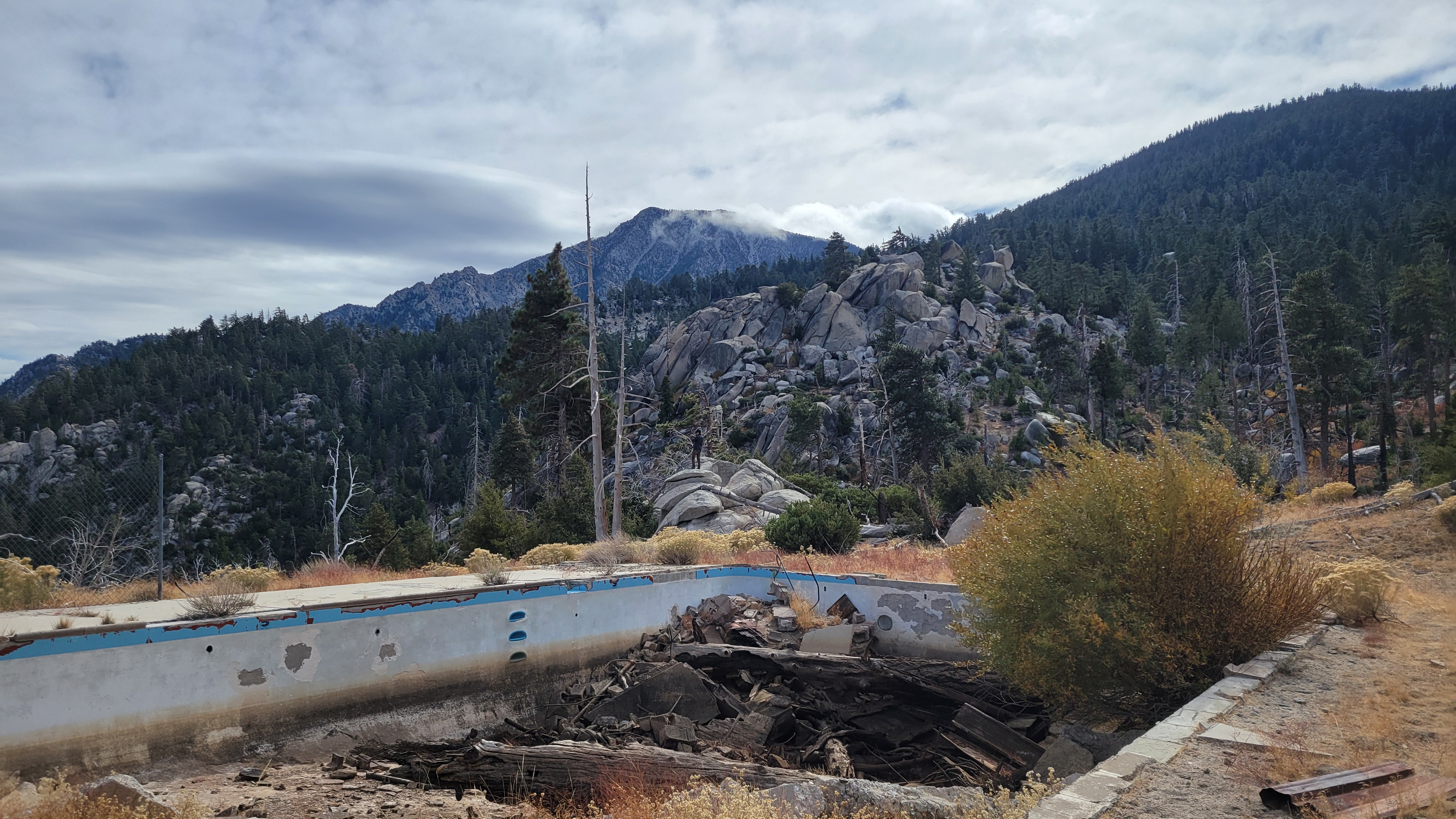 Dilapidated pool filled with debris.