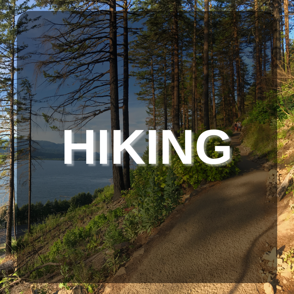 Hiking Icon