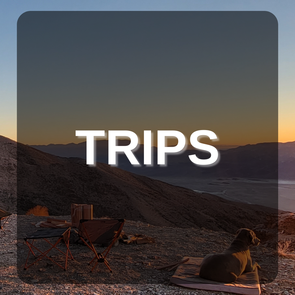 Trips Icon
