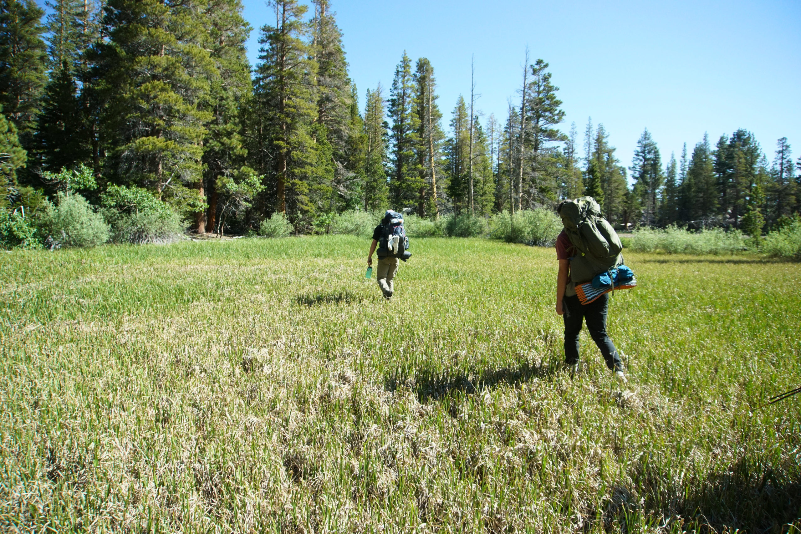 Backpacking East Sierras Sherwin Lakes Day 4 (June 2024)
