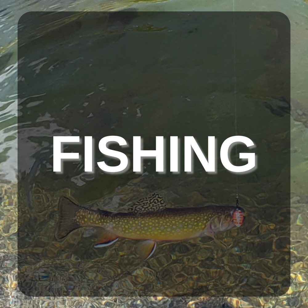 Fishing Icon