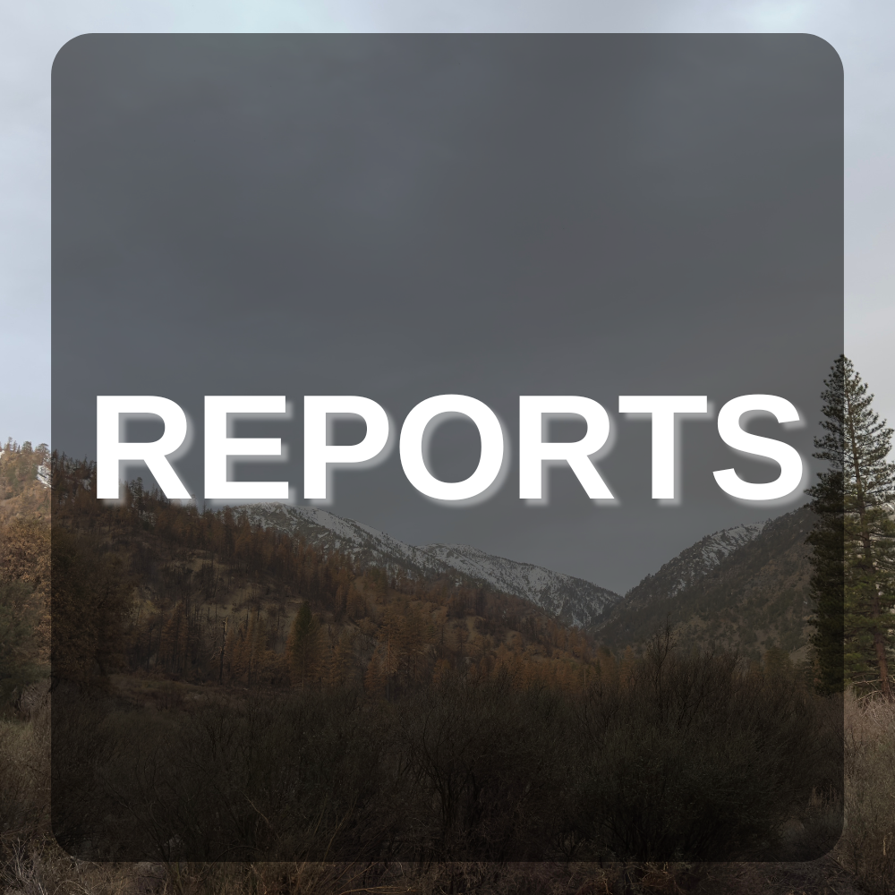 Reports Icon